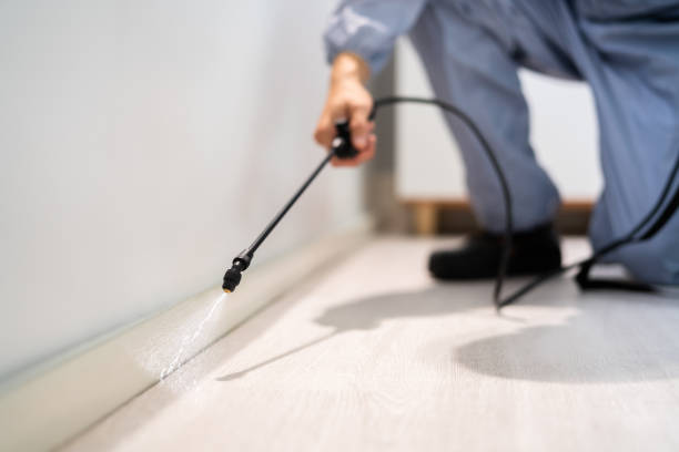 Licensed Pest Control service in Fairview, UT - Show Me Pest Control